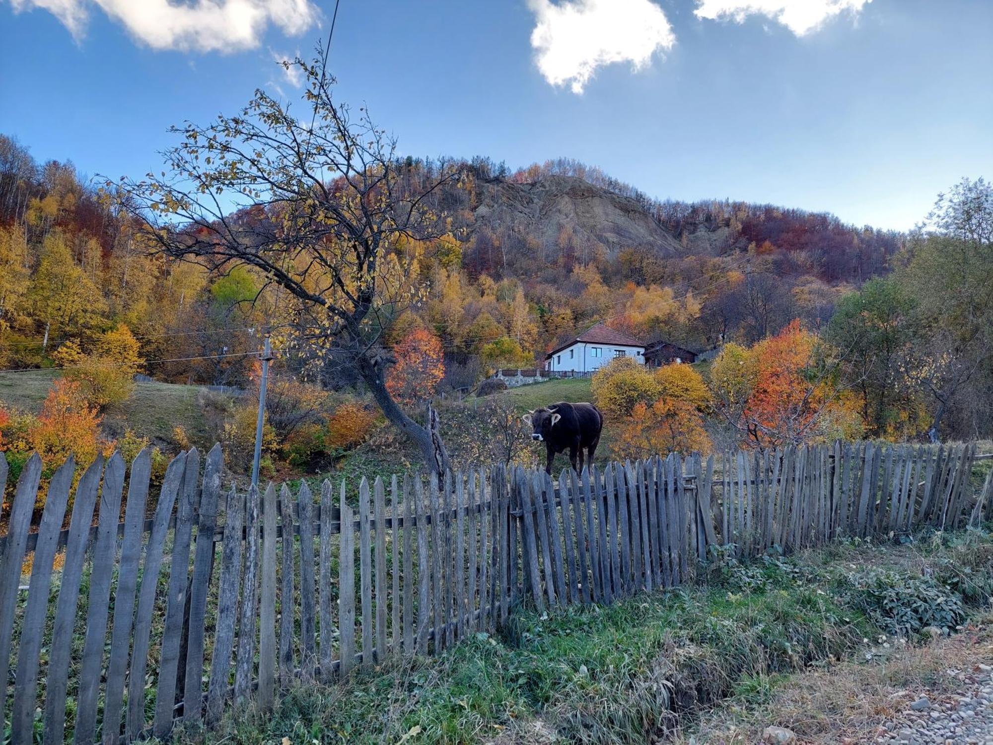 Casuta De Sub Munte Villa Buzau Exterior photo