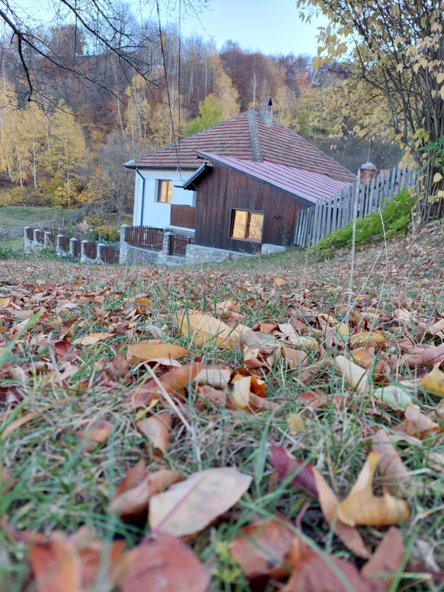 Casuta De Sub Munte Villa Buzau Exterior photo